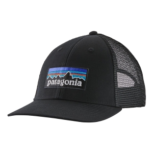 Patagonia P-6 Logo LoPro Trucker Hat Homme